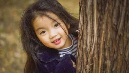 哪些明星喜欢阿拉蕾,揭秘明星圈中热衷的可爱萌物