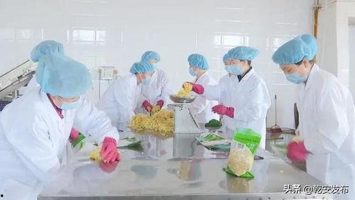 头条赵二丫,头条新晋网红的崛起之路