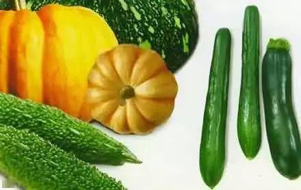 渔村吃瓜,吃瓜群众的欢乐时光