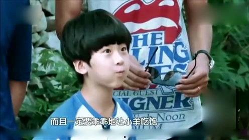 娱乐八卦每日爆料向佐