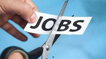 离职吃瓜,揭秘职场“吃瓜”背后的真相与启示