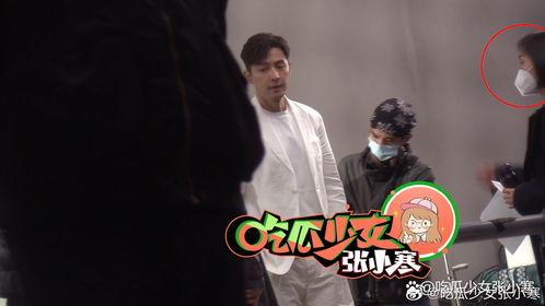 吃瓜记者张小寒,吃瓜记者张小寒带你探秘明星幕后生活