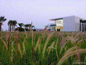 湛江拍照网红地址