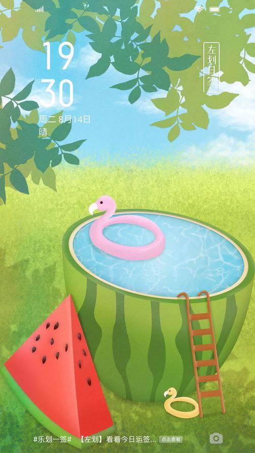 夏日吃瓜快乐,吃瓜快乐，畅享清凉时光