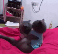 搞笑吃瓜动态图片,让你笑到肚子疼