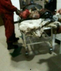 赵县爆料最新事件新闻,揭秘背后真相，引发社会关注