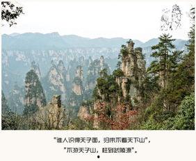 张家界网红游玩攻略,张家界网红打卡地探秘攻略