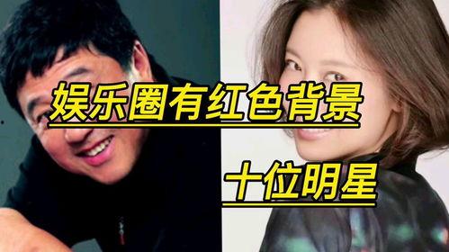 明星的知识背景,揭秘明星背后的知识底蕴与成长历程