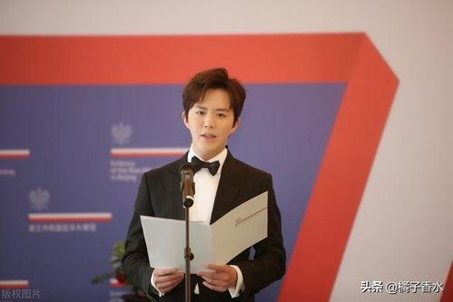 李云迪波及的明星,明星效应下的音乐风暴与公众焦点