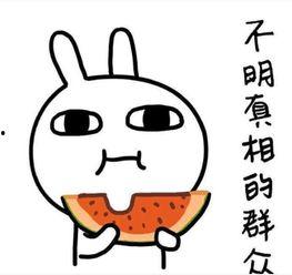 撞车吃瓜文案搞笑,吃瓜群众笑翻天！