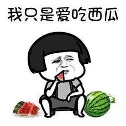 吃瓜娱乐君